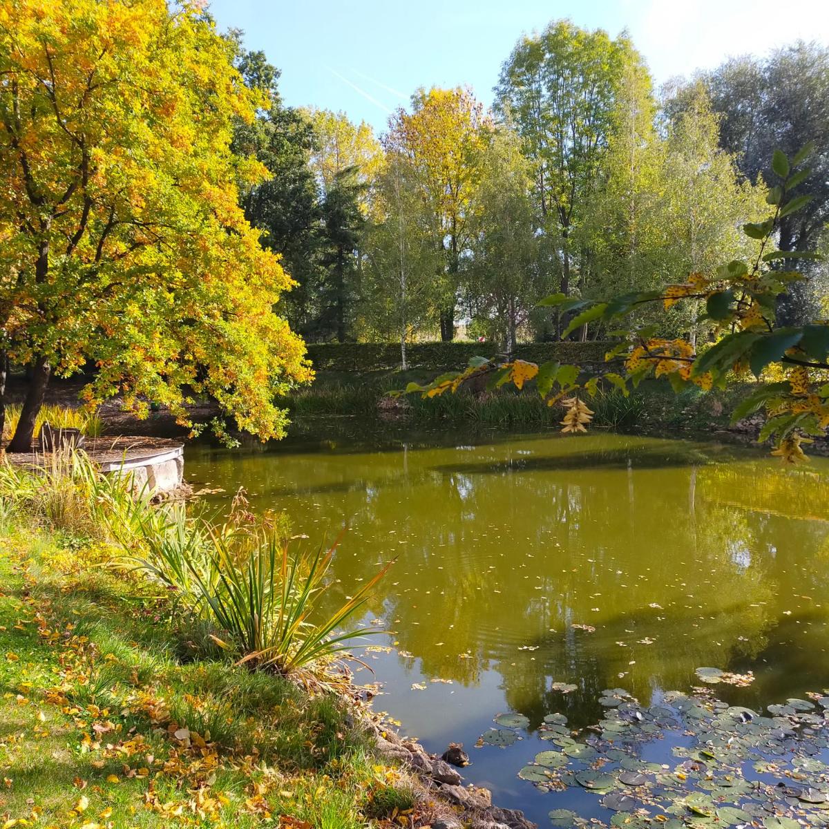 Ferienwohnung H2 am Hainich - Housity