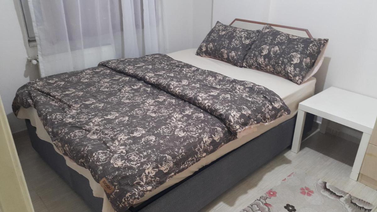 Private Rooms and Flats Apartments - Housity