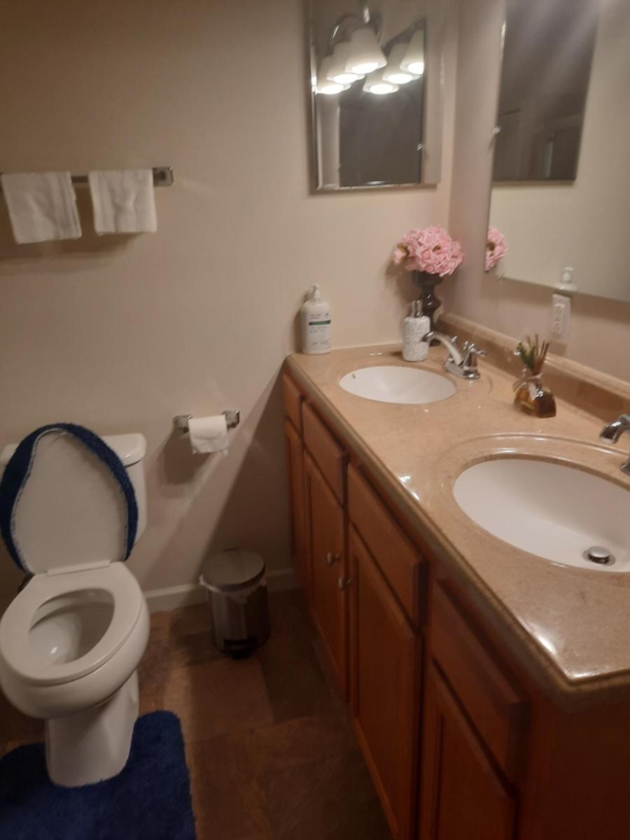 Luxe - Housity