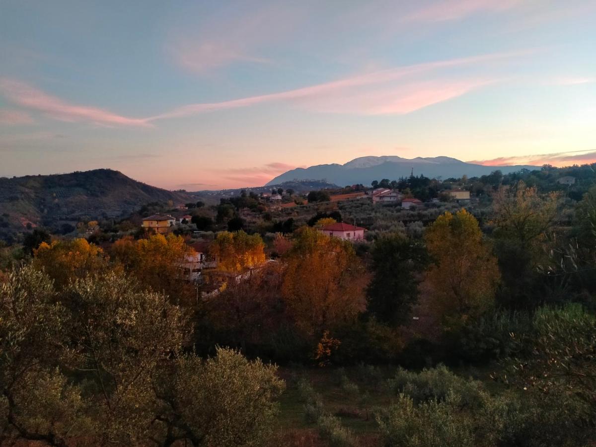 Azienda Agricola 