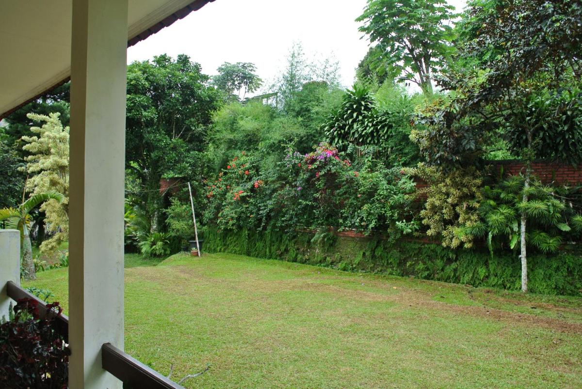 Villa (Entire) Teddy 6500m2 land@Gadog 650m above sea level. - Housity
