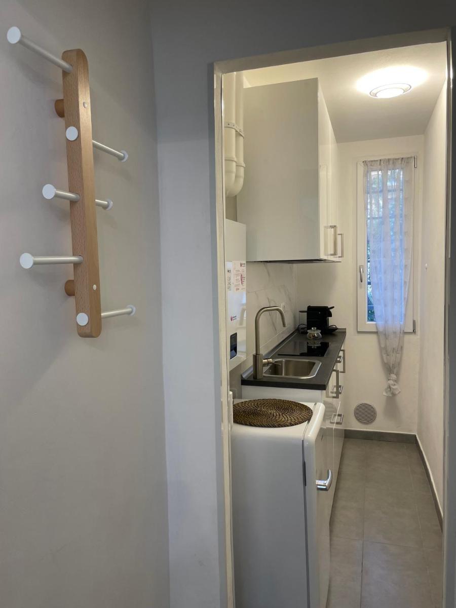 Daisy House - Hizvo