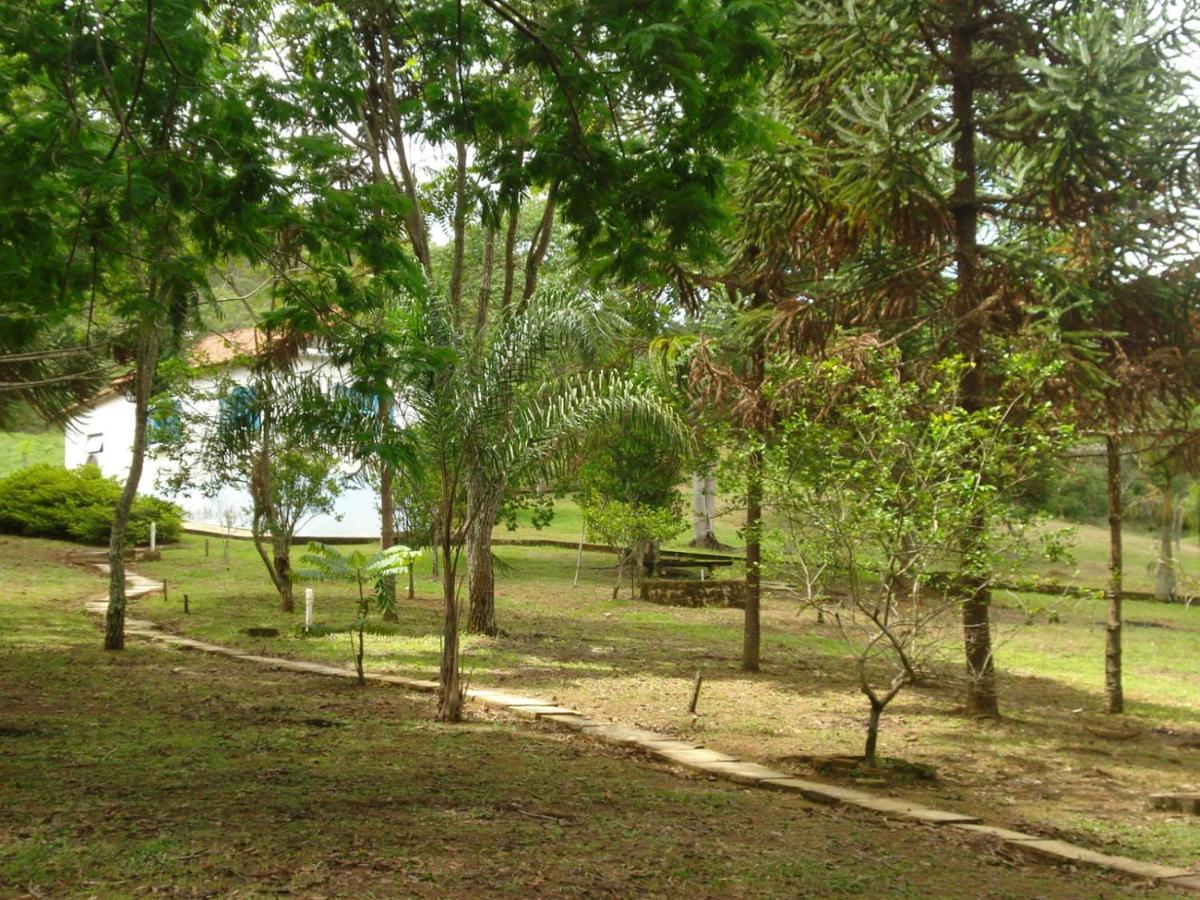Villa Druida - Housity