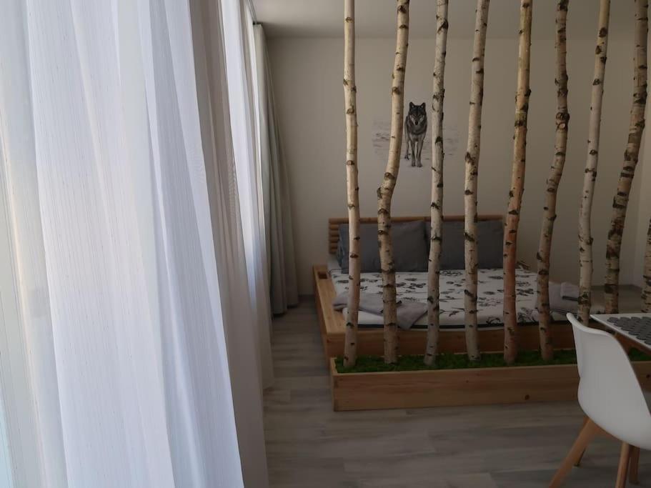 Apartmán v centru Železné Rudy se zahrádkou - Housity