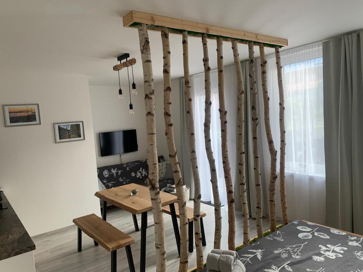 Apartmán v centru Železné Rudy se zahrádkou - Housity