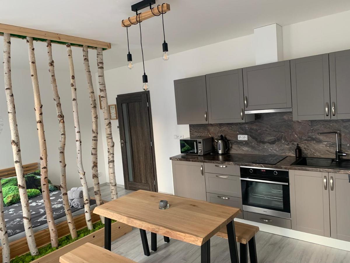 Apartmán v centru Železné Rudy se zahrádkou - Housity