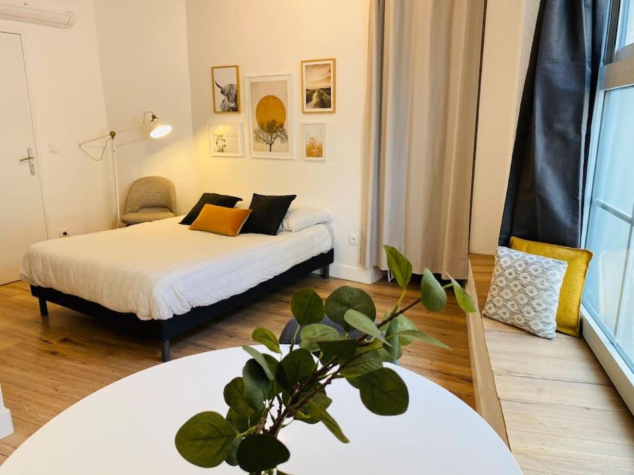 Les studios de Morgane hyper centre - Housity