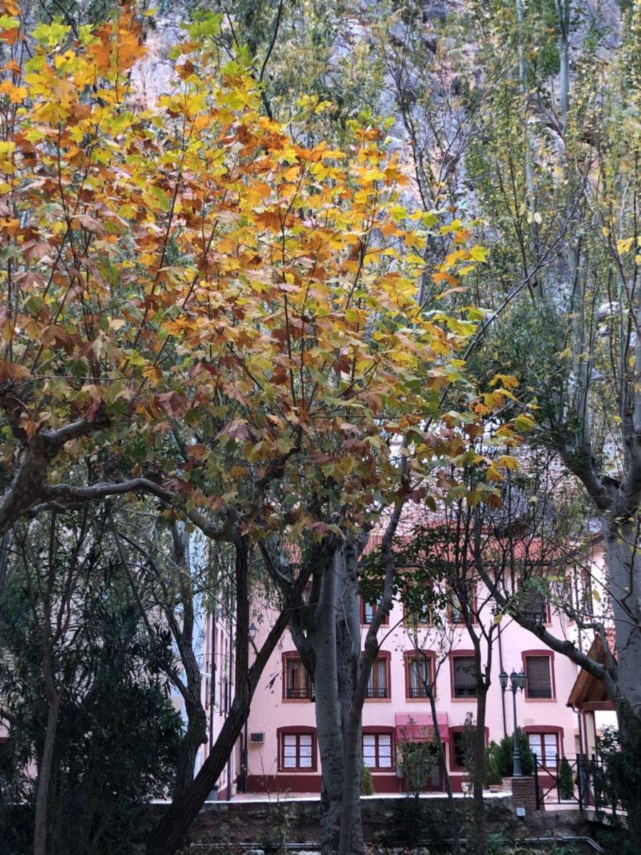 Edificio en el que se encuentra el hotel