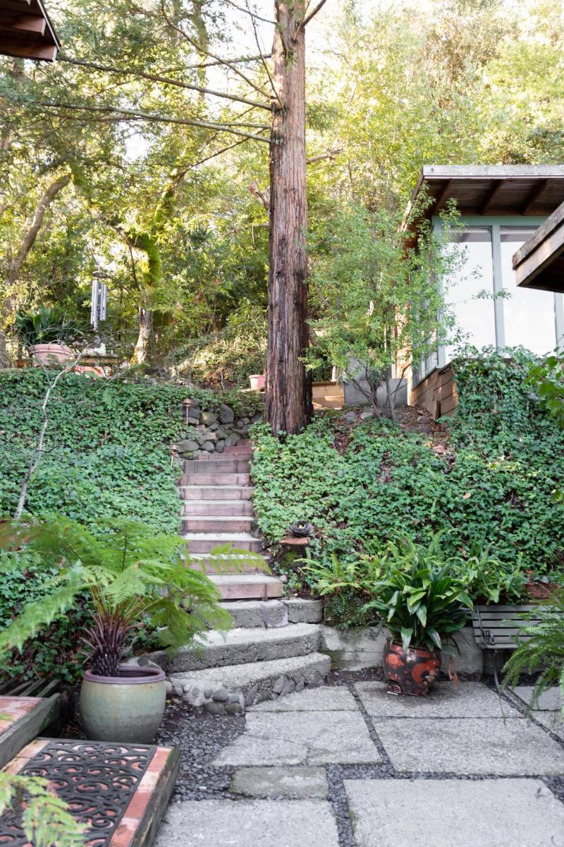 Luxe Forest Cabin 15 Mins From UC Berkeley - Housity