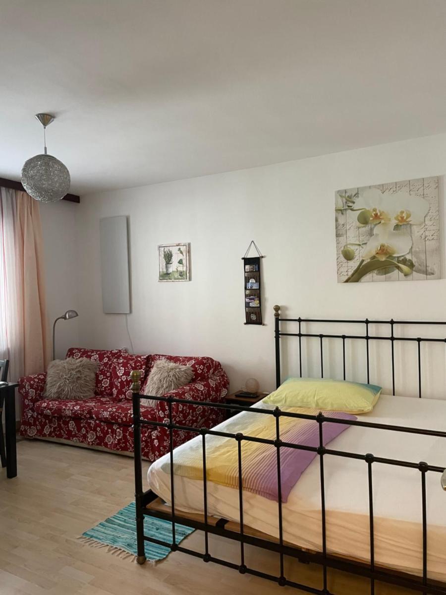 Grazer Spatz - Housity