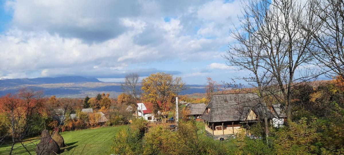 Cozy traditional wooden house, Casa Olexa - Housity