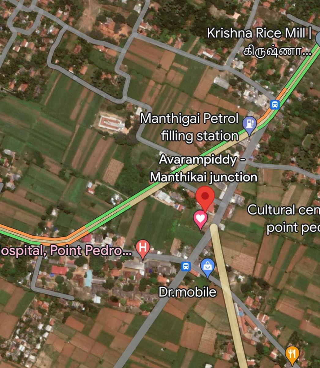 The PalmAram - Guest House and Restaurant - Housity