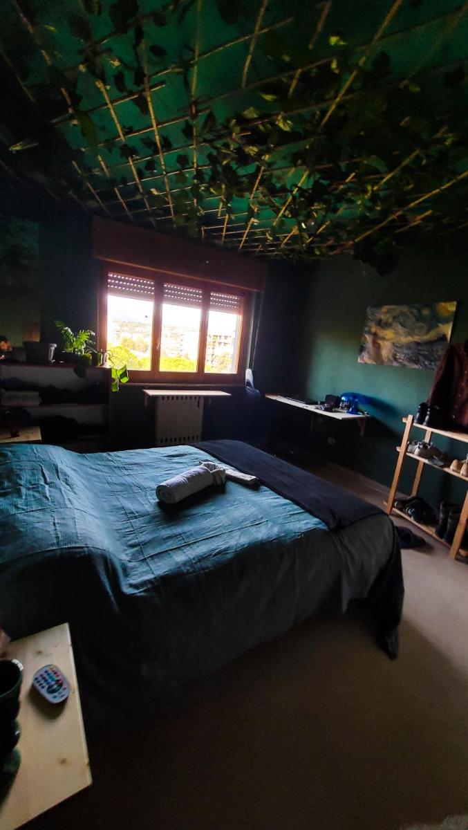 ForestRoom - Housity