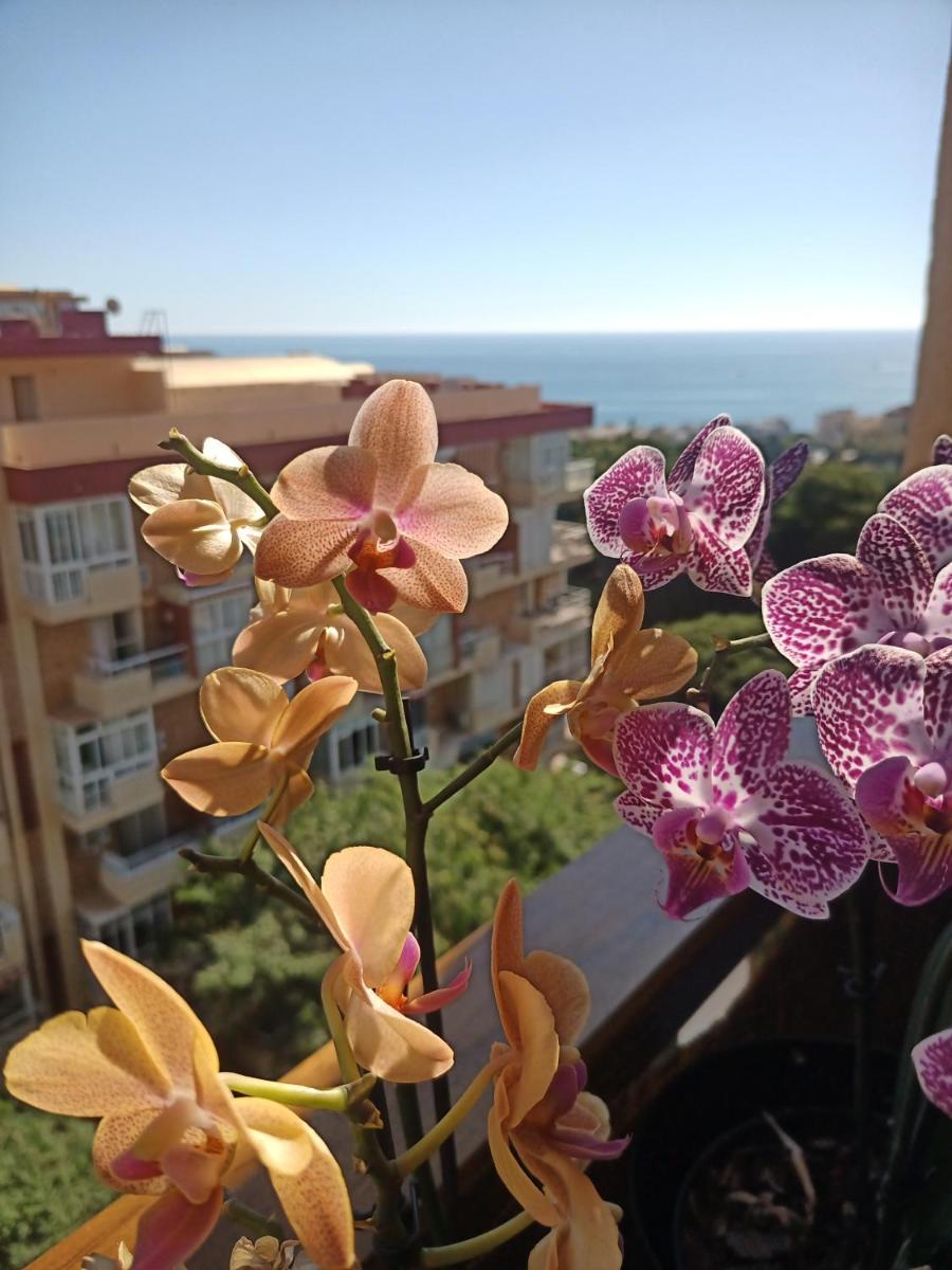 Suitetrails - SWEET HOME BENALMADENA, Estudio con vistas al mar y excelente conexion wifi, para NO FUMADORES, con piscinas, Sea views, with swimming pools, completely renovated, ideal for older people, Bright with morning sun, No smoking