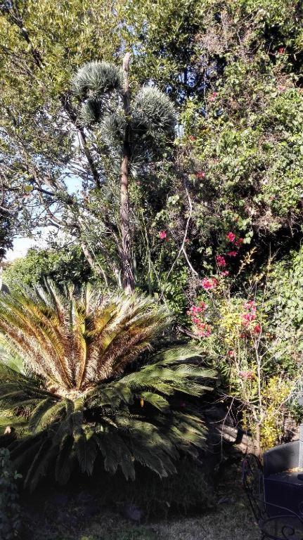 Suitetrails - Lucrezia Garden Catania