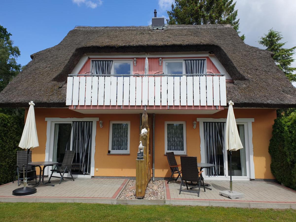 Buhne II OG - Housity