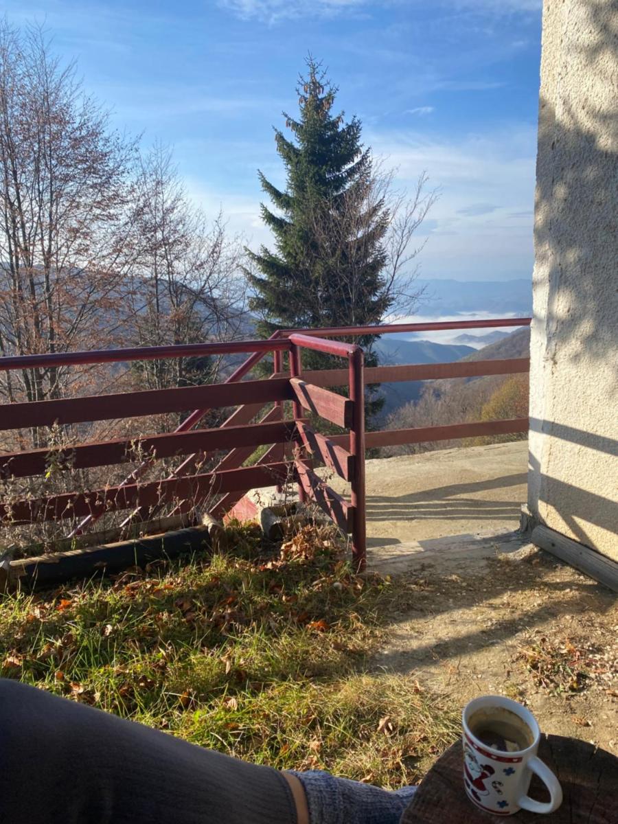 Holiday house Nesovic - Housity