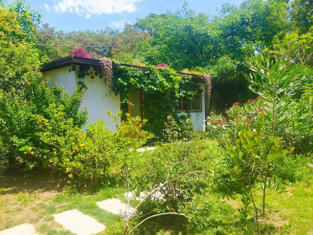 Cálido Bungalow 2- La Locanda casitas vivas - - Housity