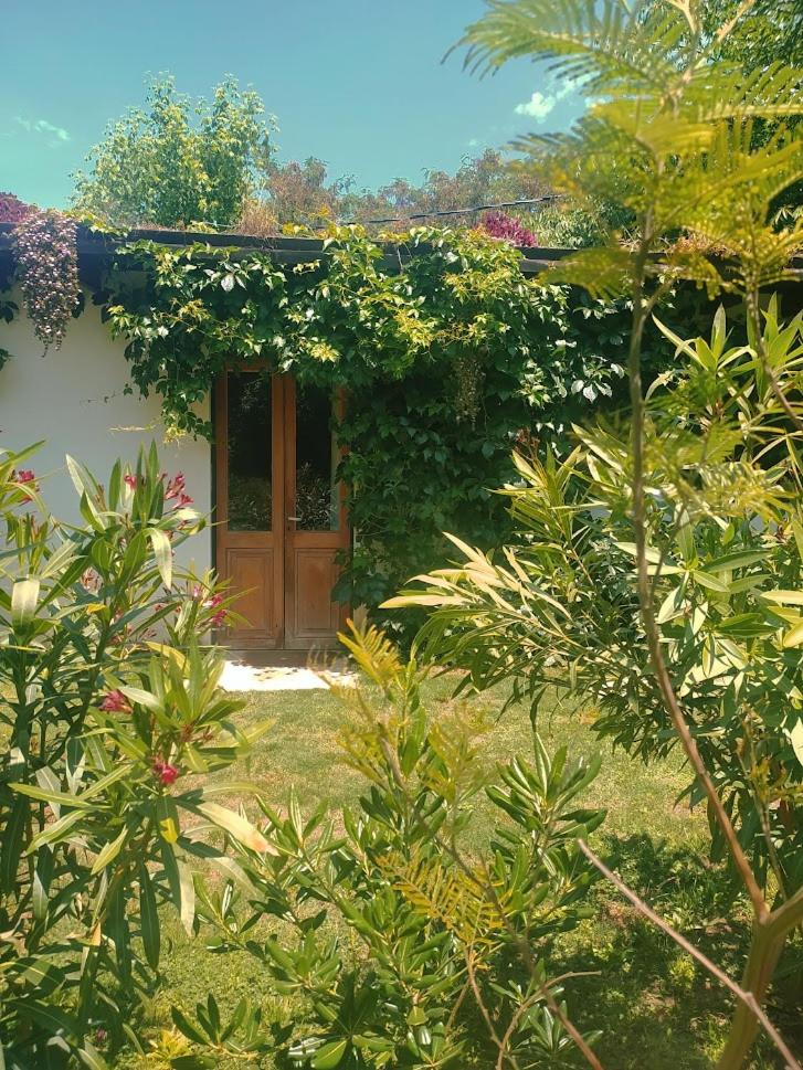 Cálido Bungalow 2- La Locanda casitas vivas - - Housity
