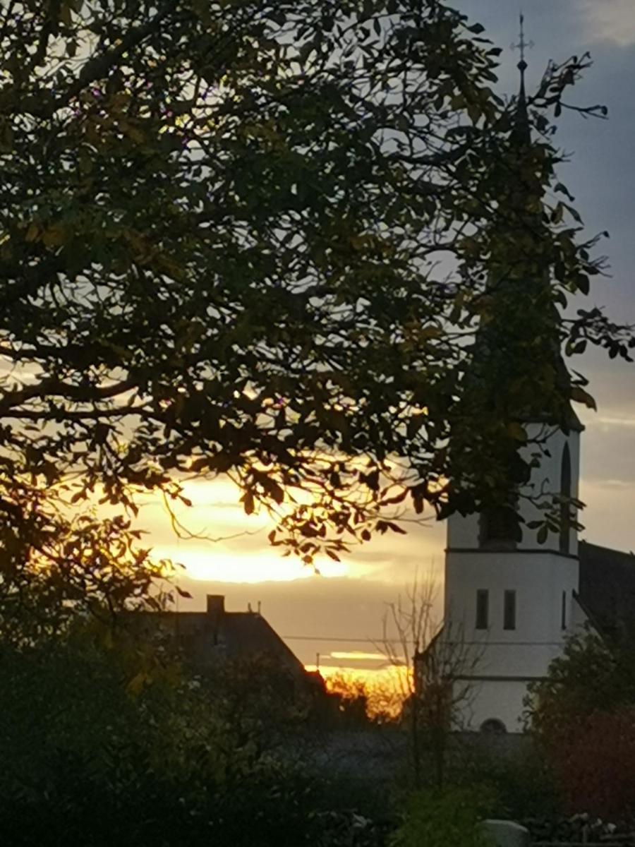 Schmiedhannese - Housity