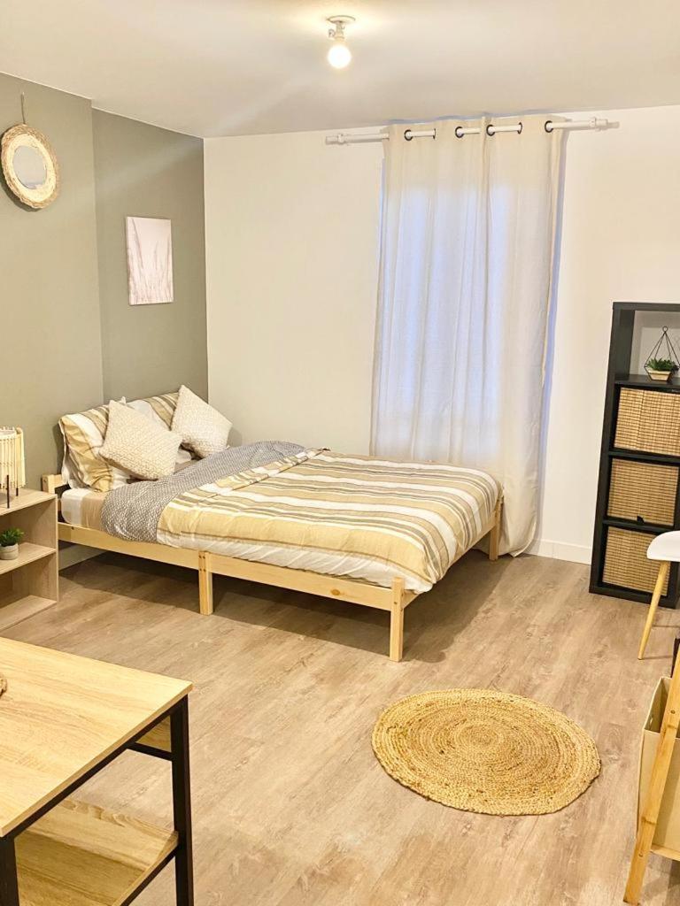 Studios charmants cosy à 5 minutes du centre-ville - Hizvo