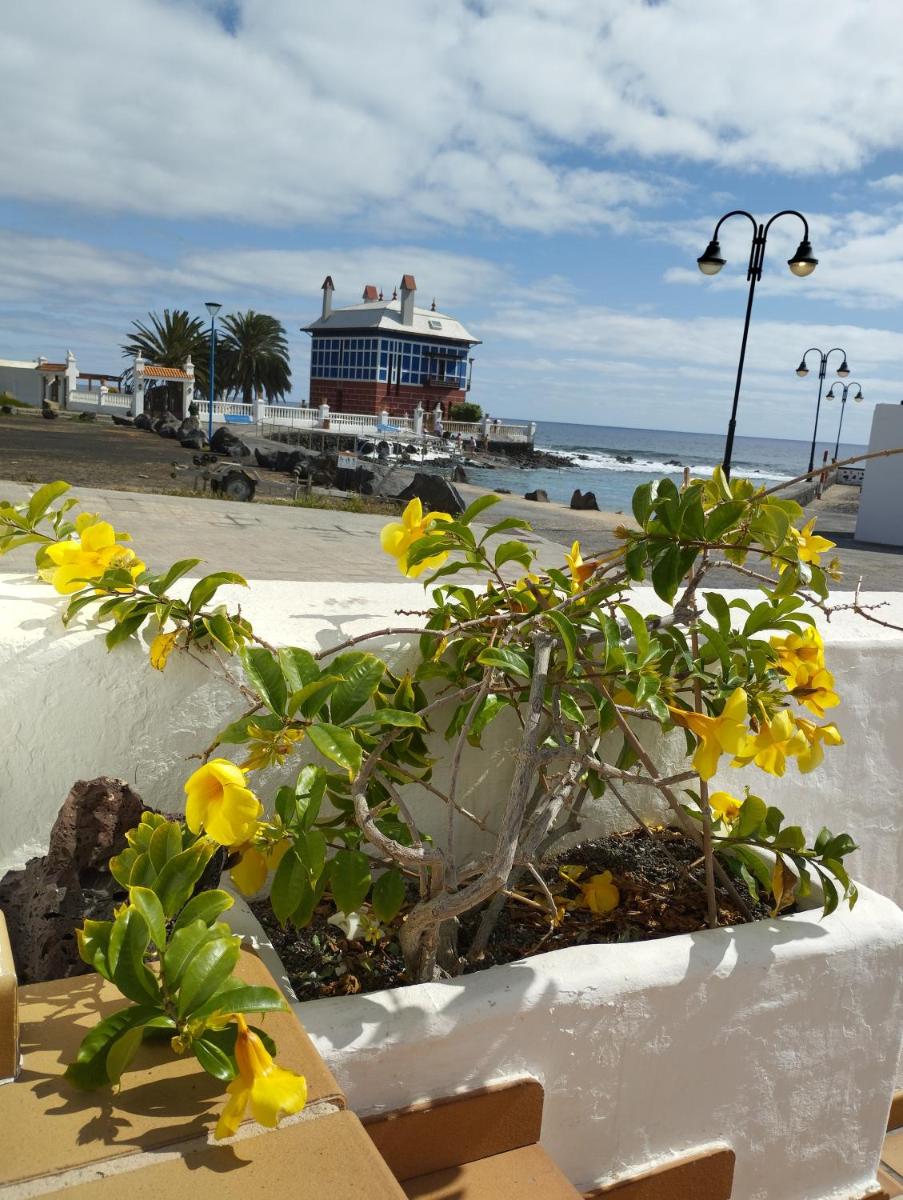 Terraza del Mar - Housity