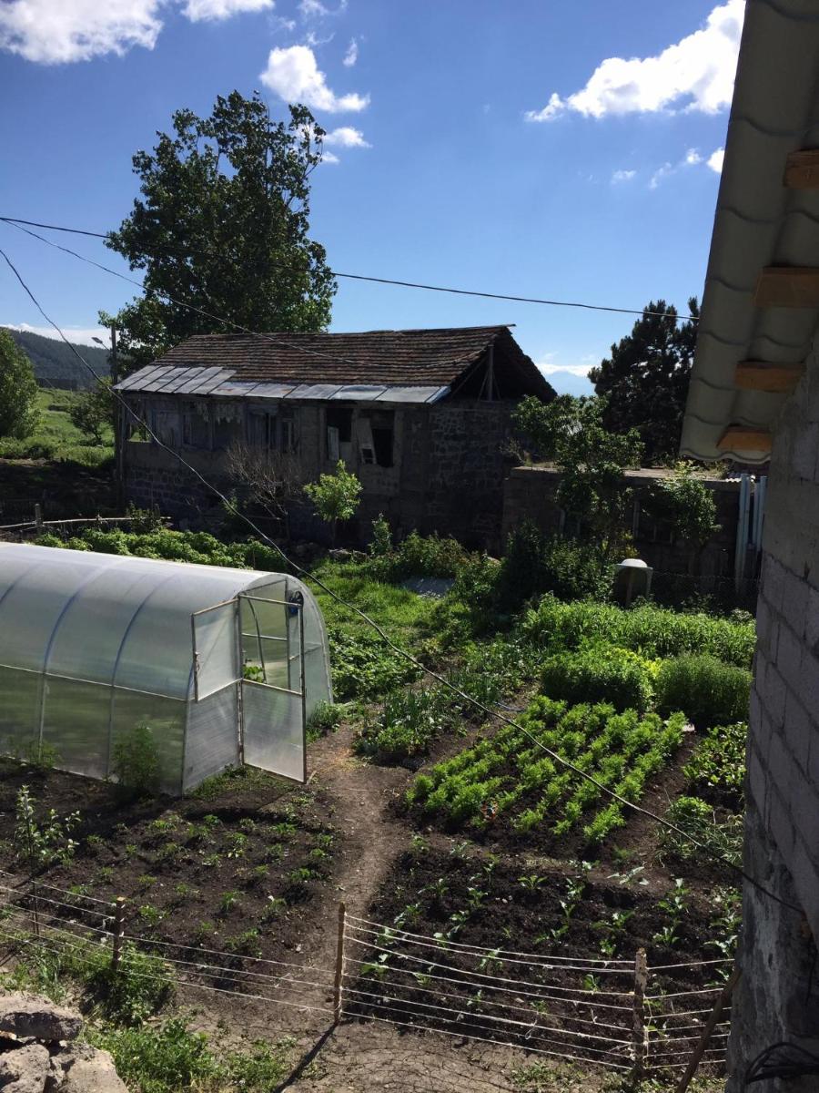 Agro House Mezge - აგროსახლი მეზგე - Housity