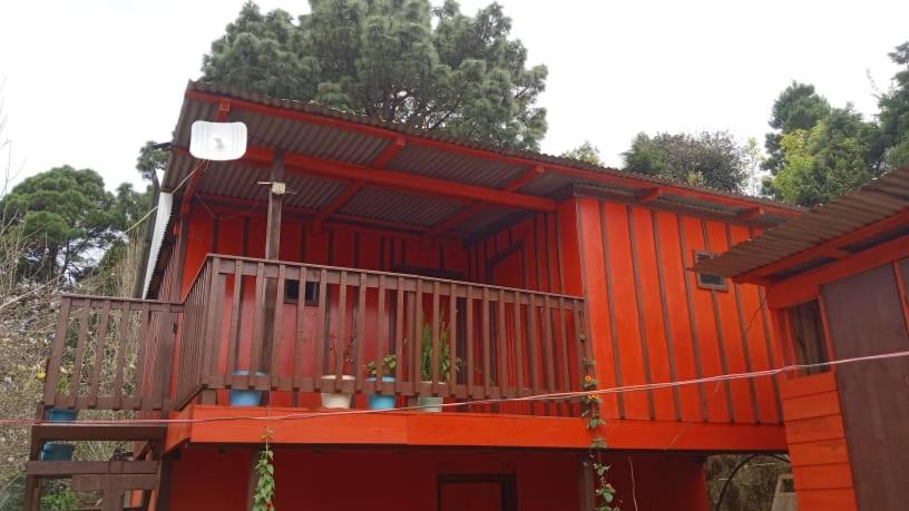 Casa del bosque - Housity