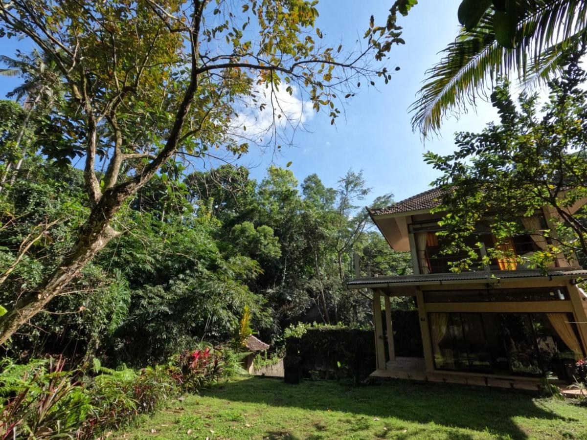 Bali Hot Spring - Housity