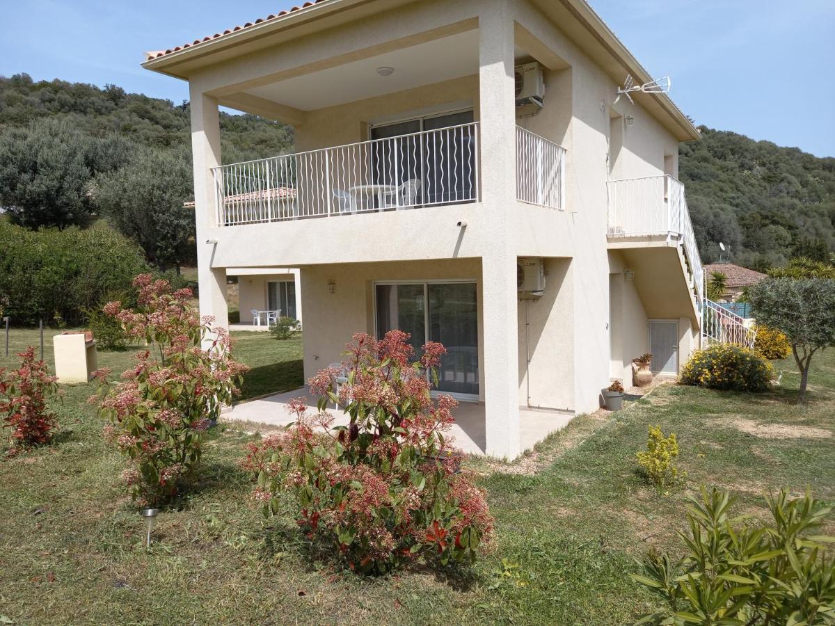 U SOLE - Housity