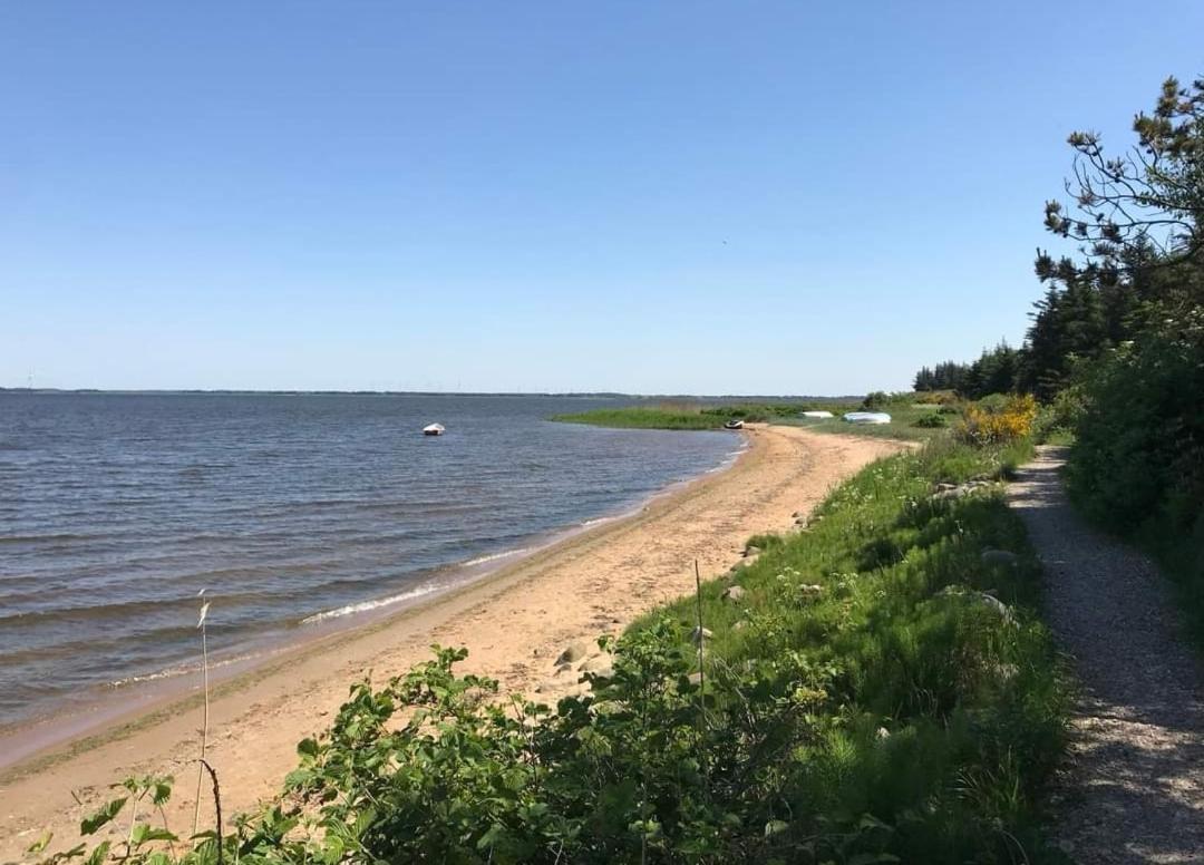 Sommerhus ved Vesterhavet - Housity