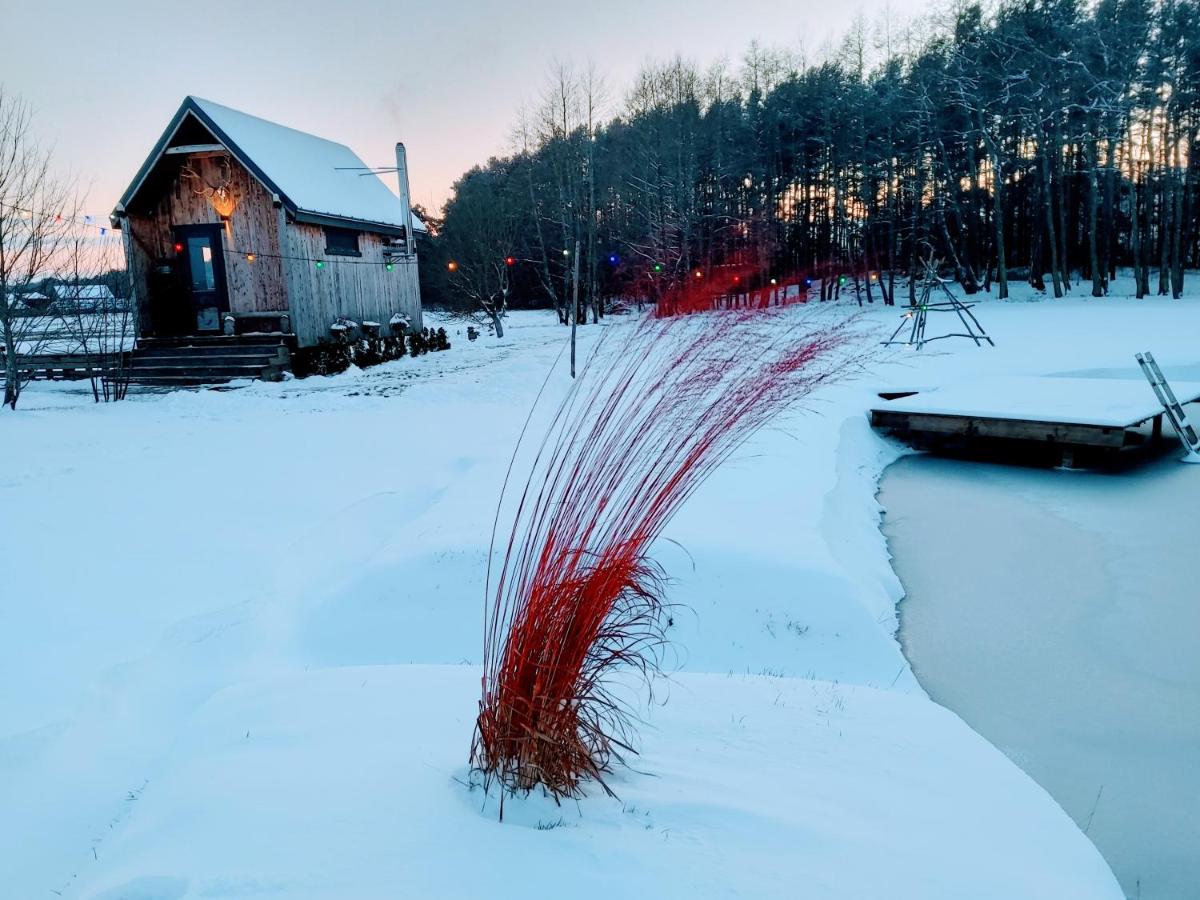 Brīvdienu namiņš ar pirtiņu - Housity