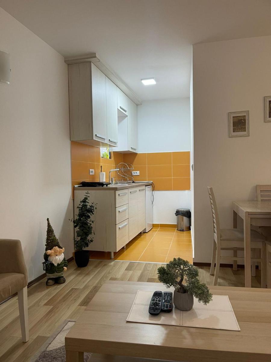 Stan na dan Valjevo centar - Housity