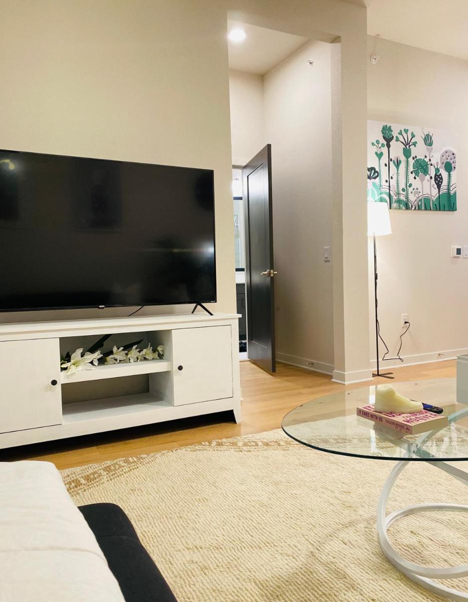 Lux 1-bedroom w/highrise pool and view in downtown Houston - Housity