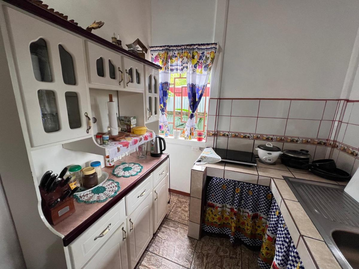 Natural Experience House - Housity