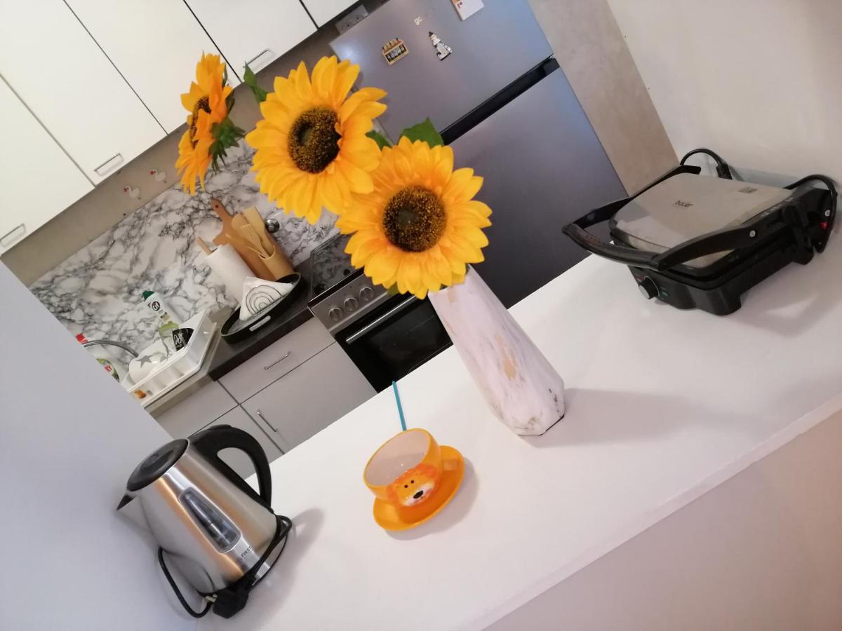 Star Apartment Belgrade - Housity