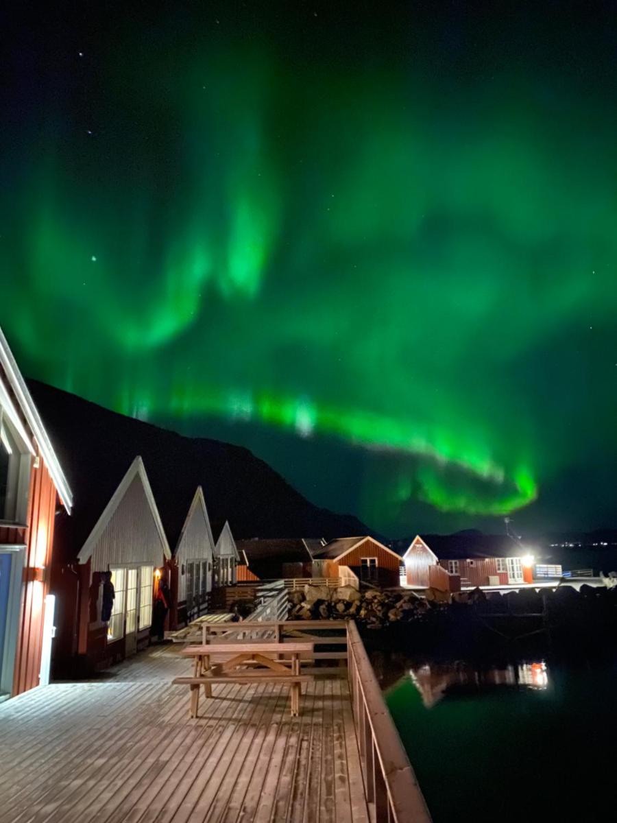 Rorbu i Lofoten - Housity