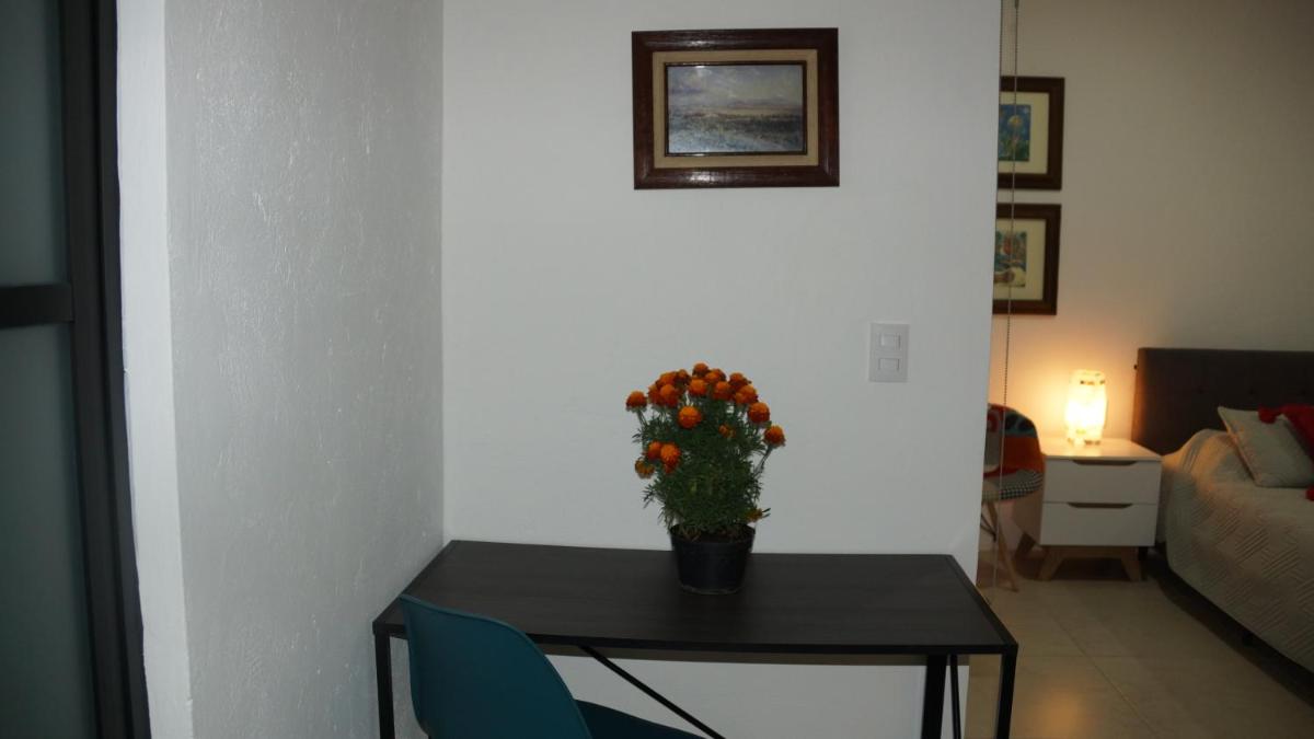 Casa Apolonia - Housity