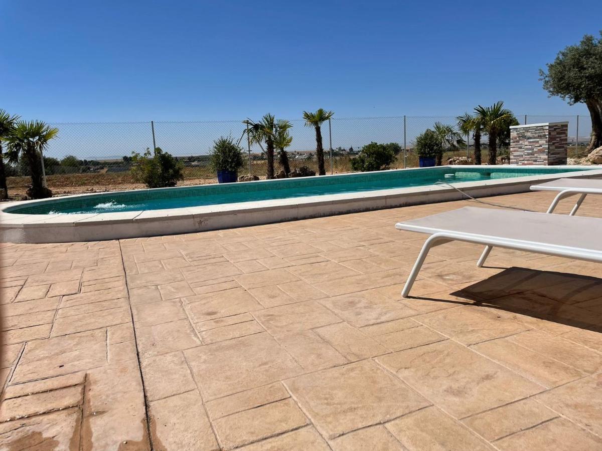 La casa del olivo - Housity