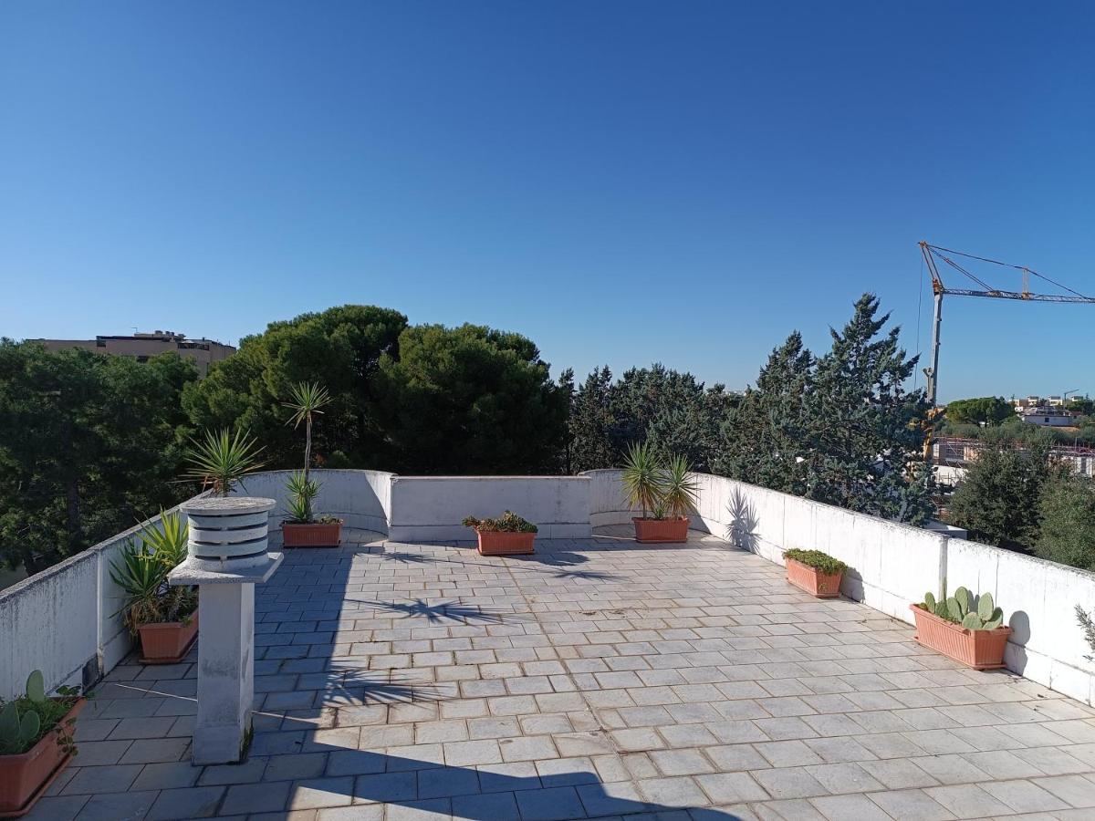 The terrace of the artists apartment - Housity