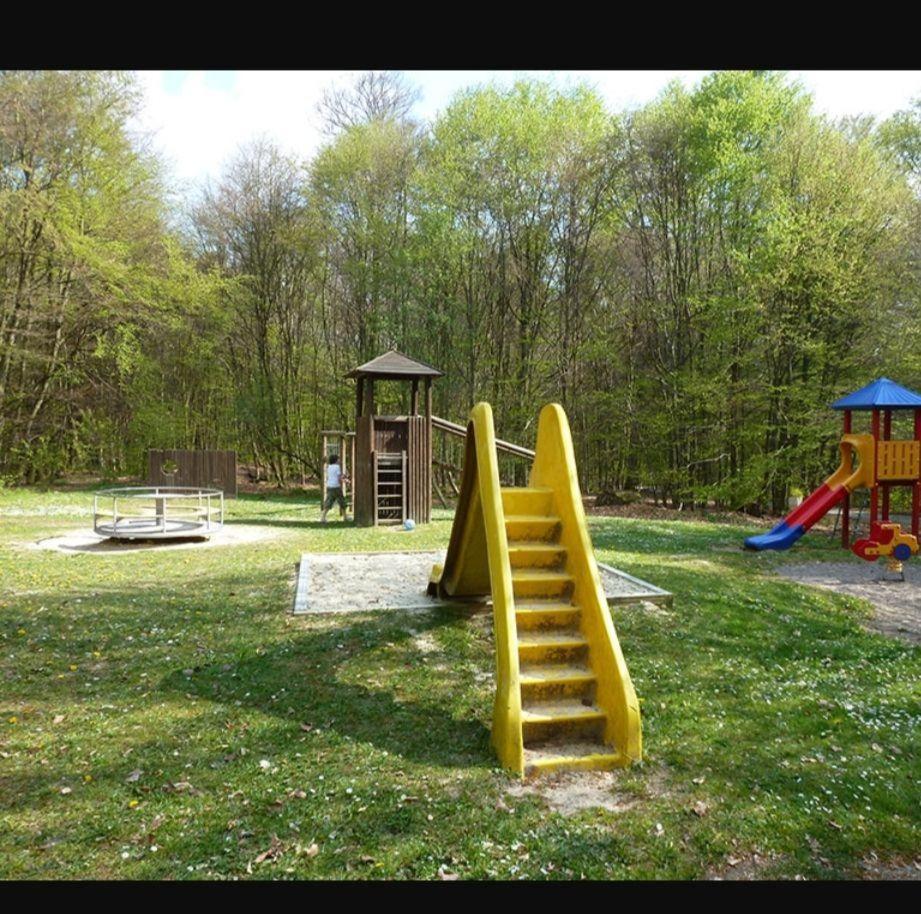 Neues-Ferienhaus-am-schoenen-Ferienpark-Twistesee-Naehe-Bad-Arolsen - Housity