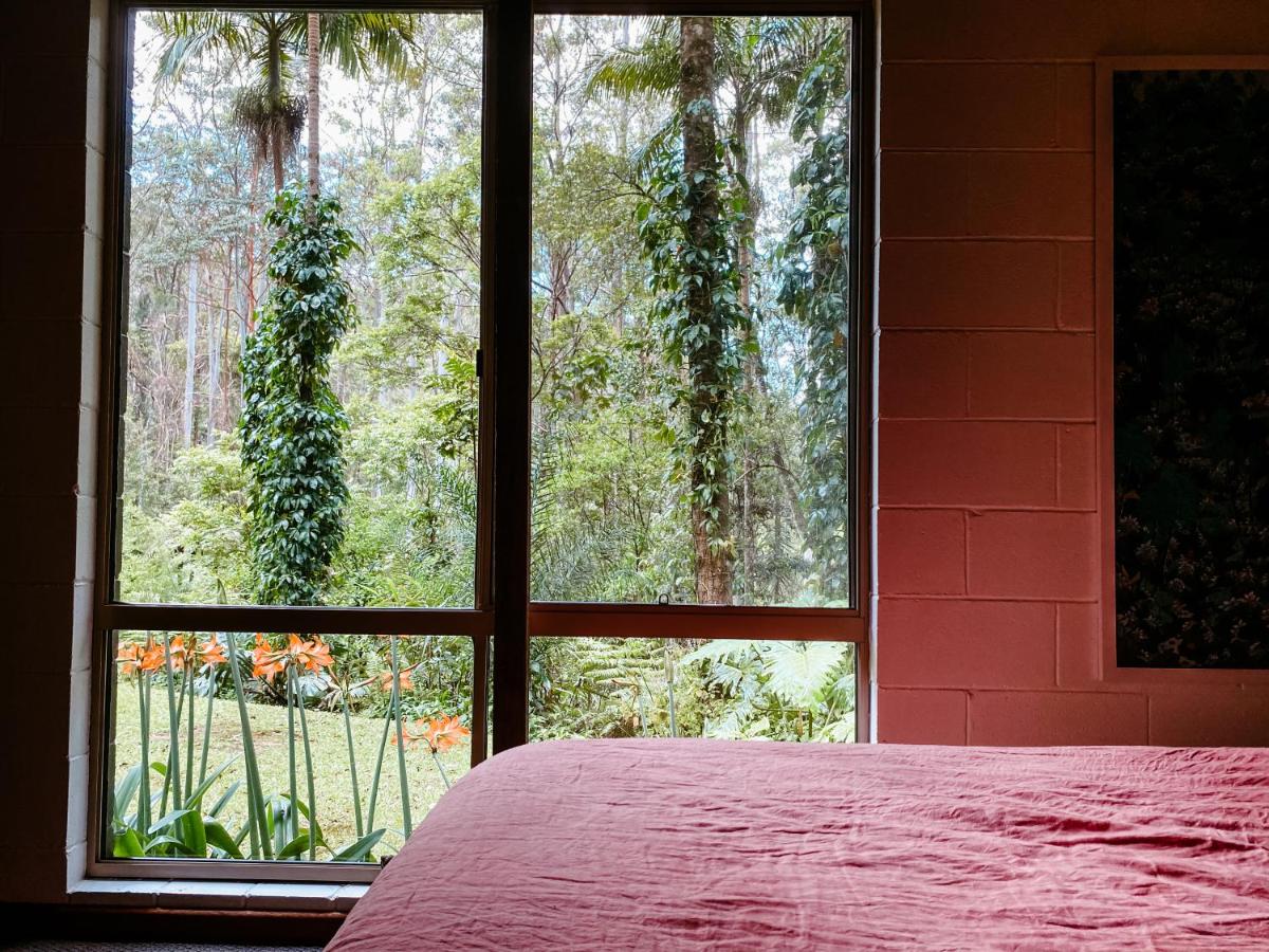 Tallowwood Cottage - Housity