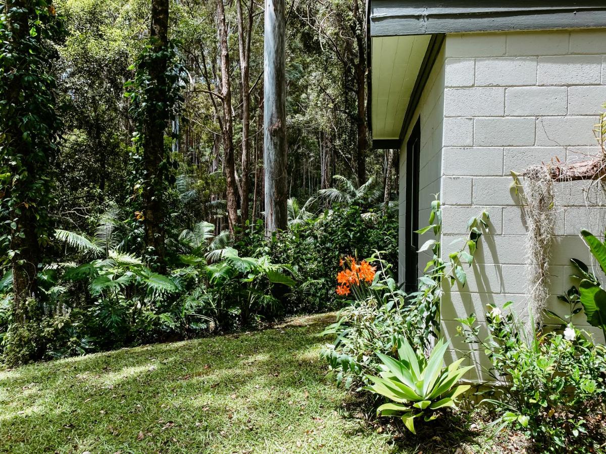Tallowwood Cottage - Housity