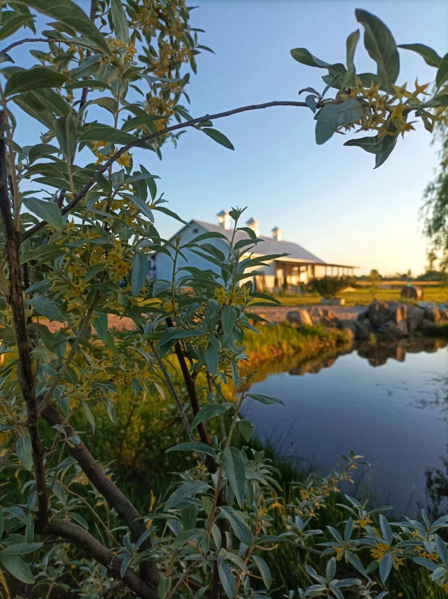 HACIENDA Drwalski Zakątek - Housity