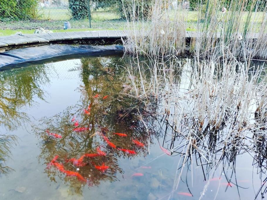 Honey Home Cottage : A Warm Welcome dans le Loiret - Housity