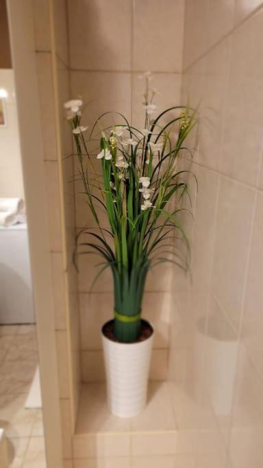 Cozy modern Apartment SUNRISE studio 35m2 balcony 3 persons - Housity