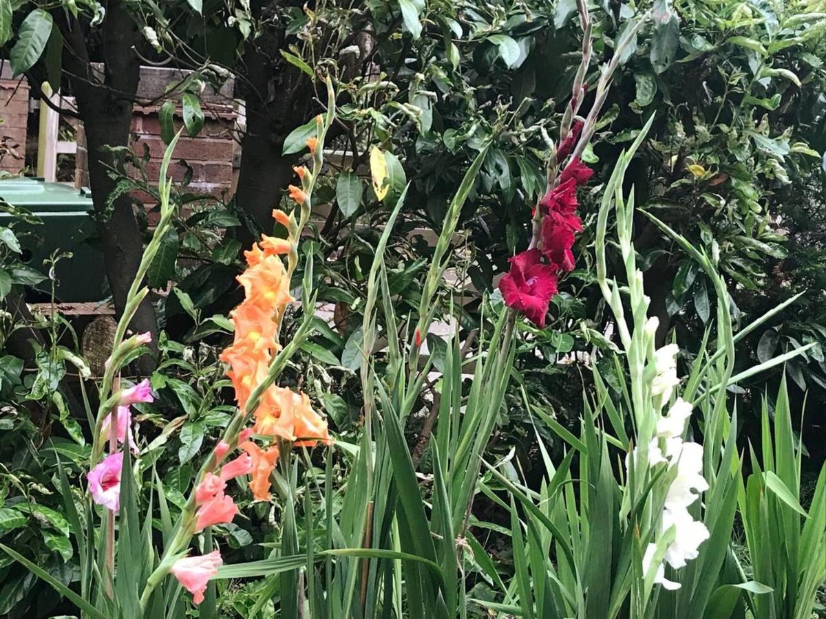 Studio Lickey Hills Near Attractions Garden PetOk - Housity