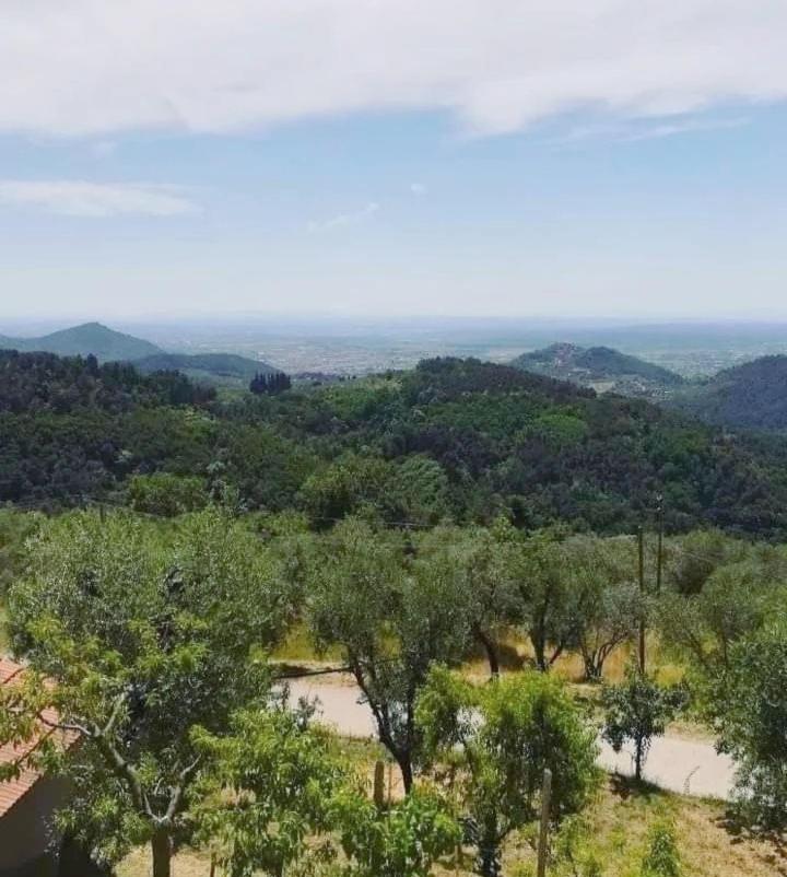 Agriturismo Il Bel Vedere - Housity