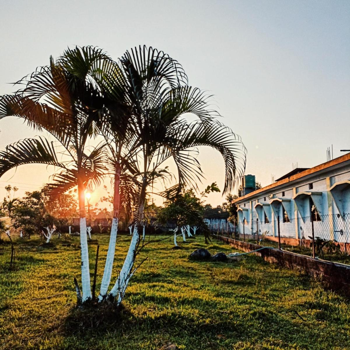 The Green Garden Retreat, Dooars - Housity