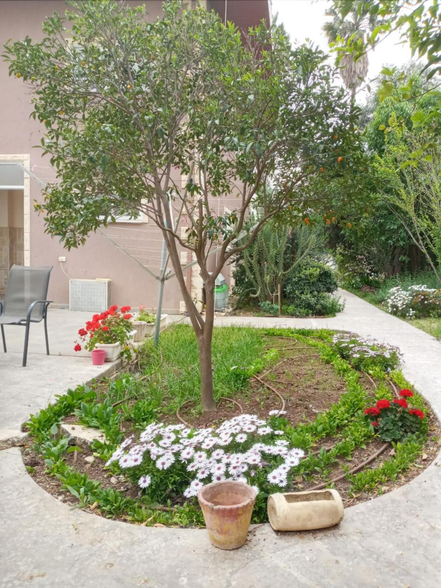 Gina's Villa Unit BEIT SHIKMA בית שקמה - Housity